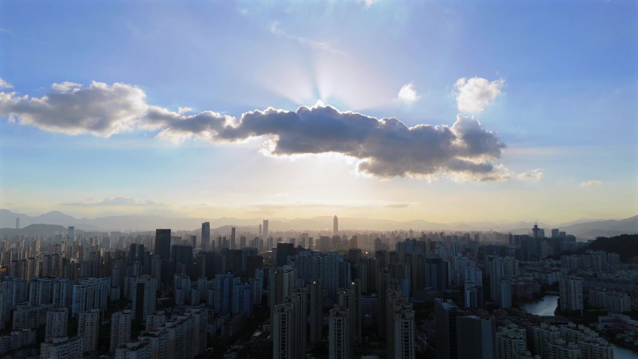 温州三垟湿地 18