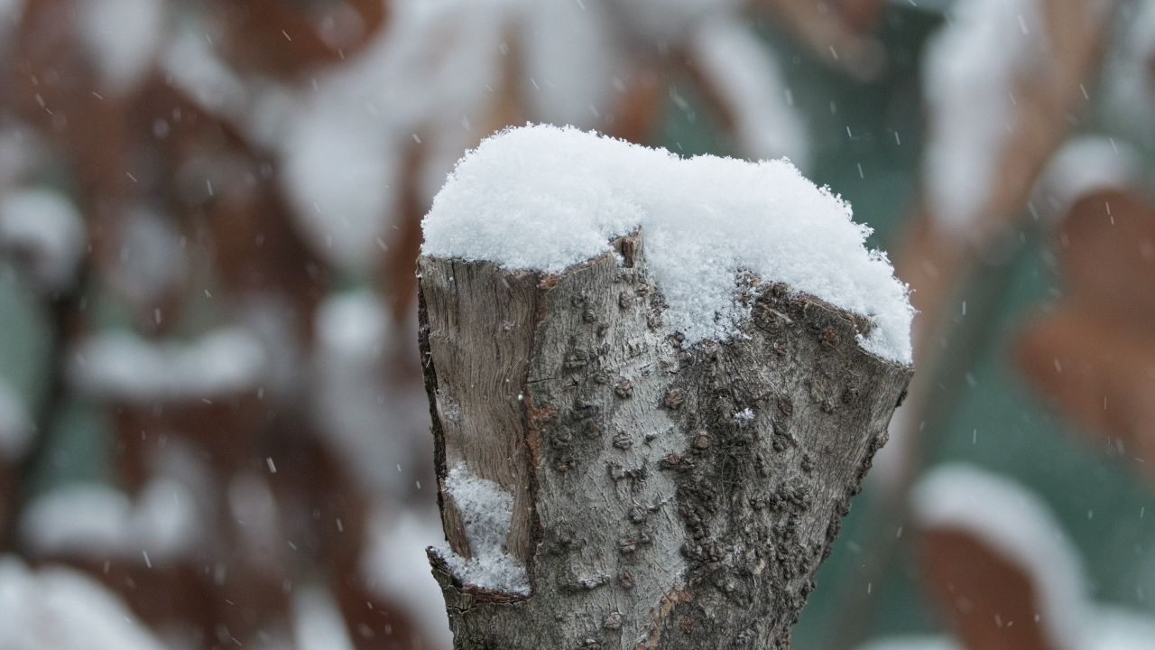下雪慢镜头升格4K实拍空镜