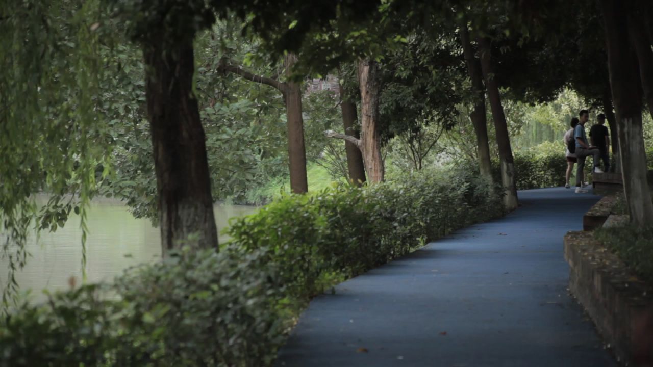 熊猫基地，沙河，锦江339绿道