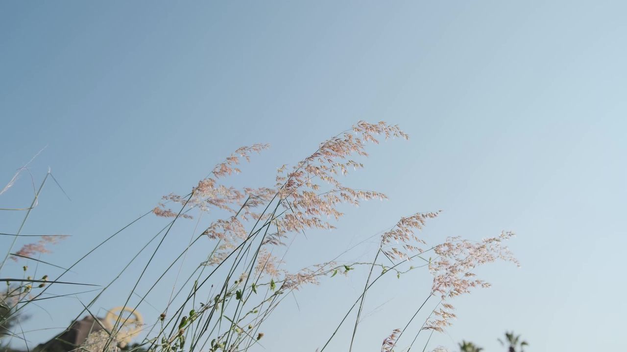 4k素材