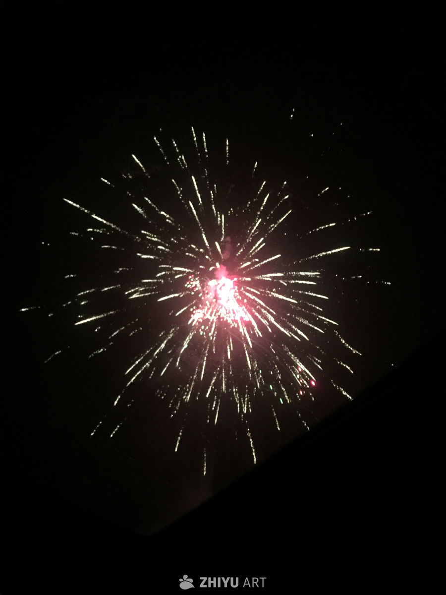 夜空烟花绽放