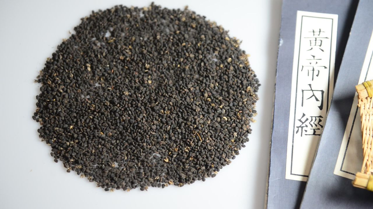 中药材补骨脂 10