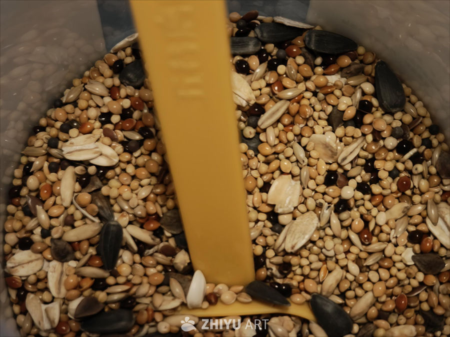 种类丰富的鹦鹉粮食