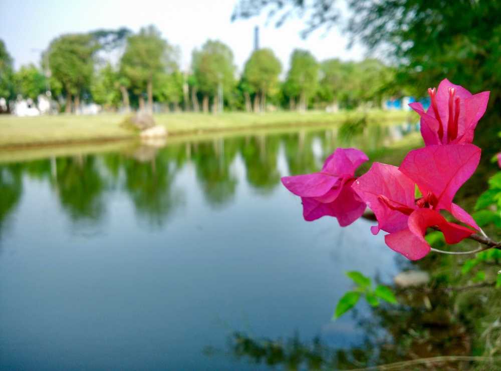 多彩的夏天