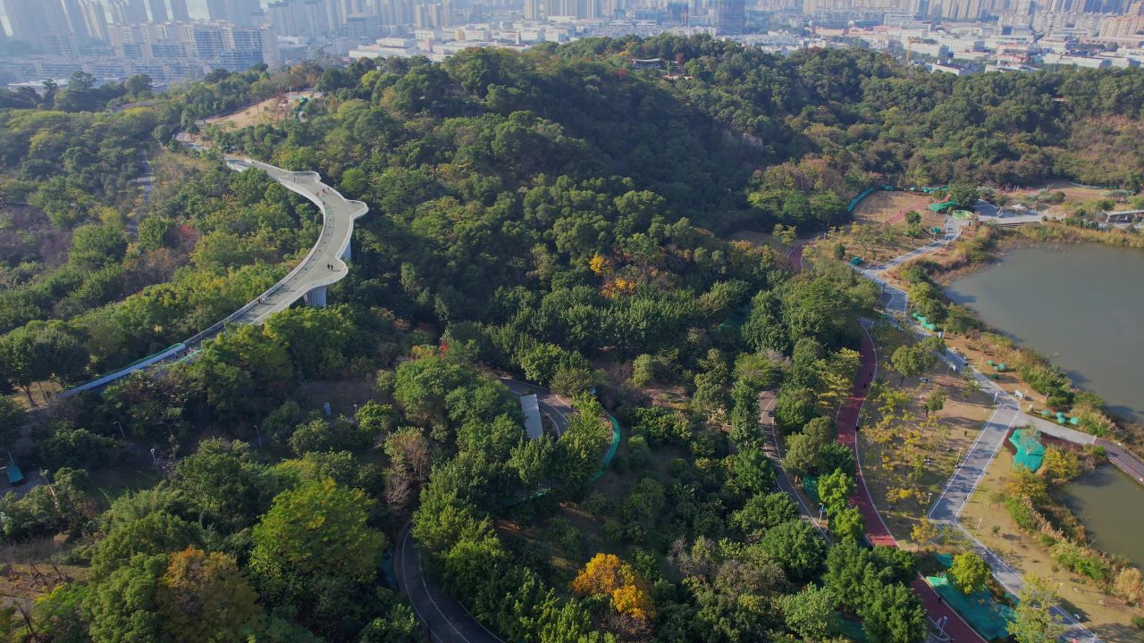 航拍福州飞凤山公园景观