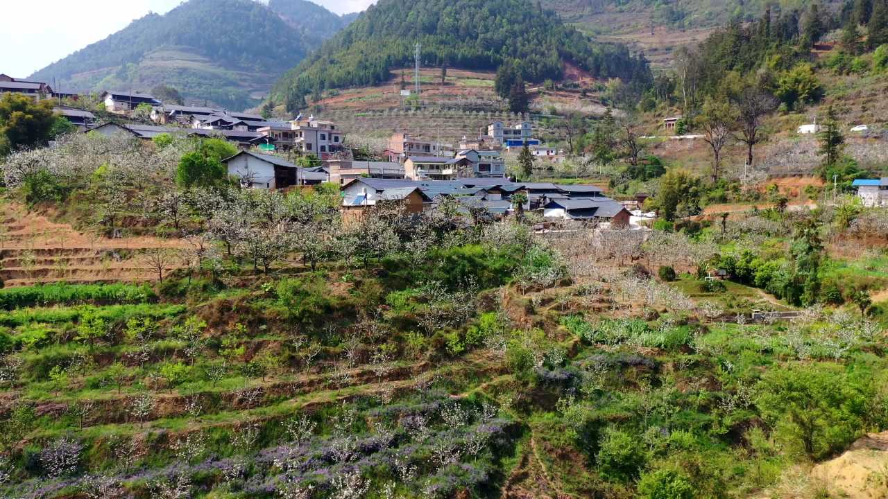 山村梯田春景