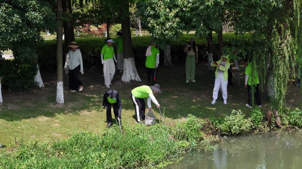 公园清洁志愿活动