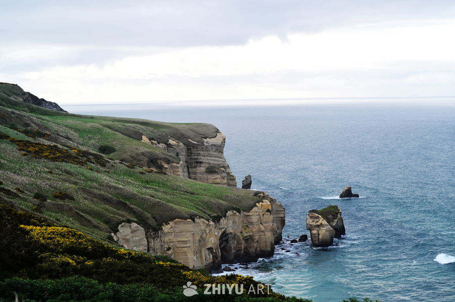 新西兰达尼丁隧道海滩海蚀地貌的巨大礁石和海蚀拱桥 3