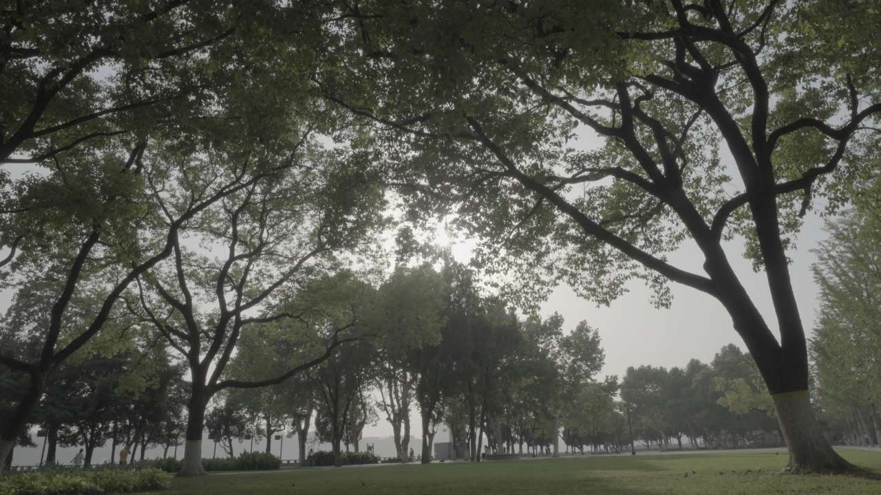 宜昌江边 19