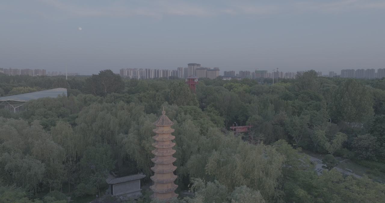 塔影下的城市绿洲