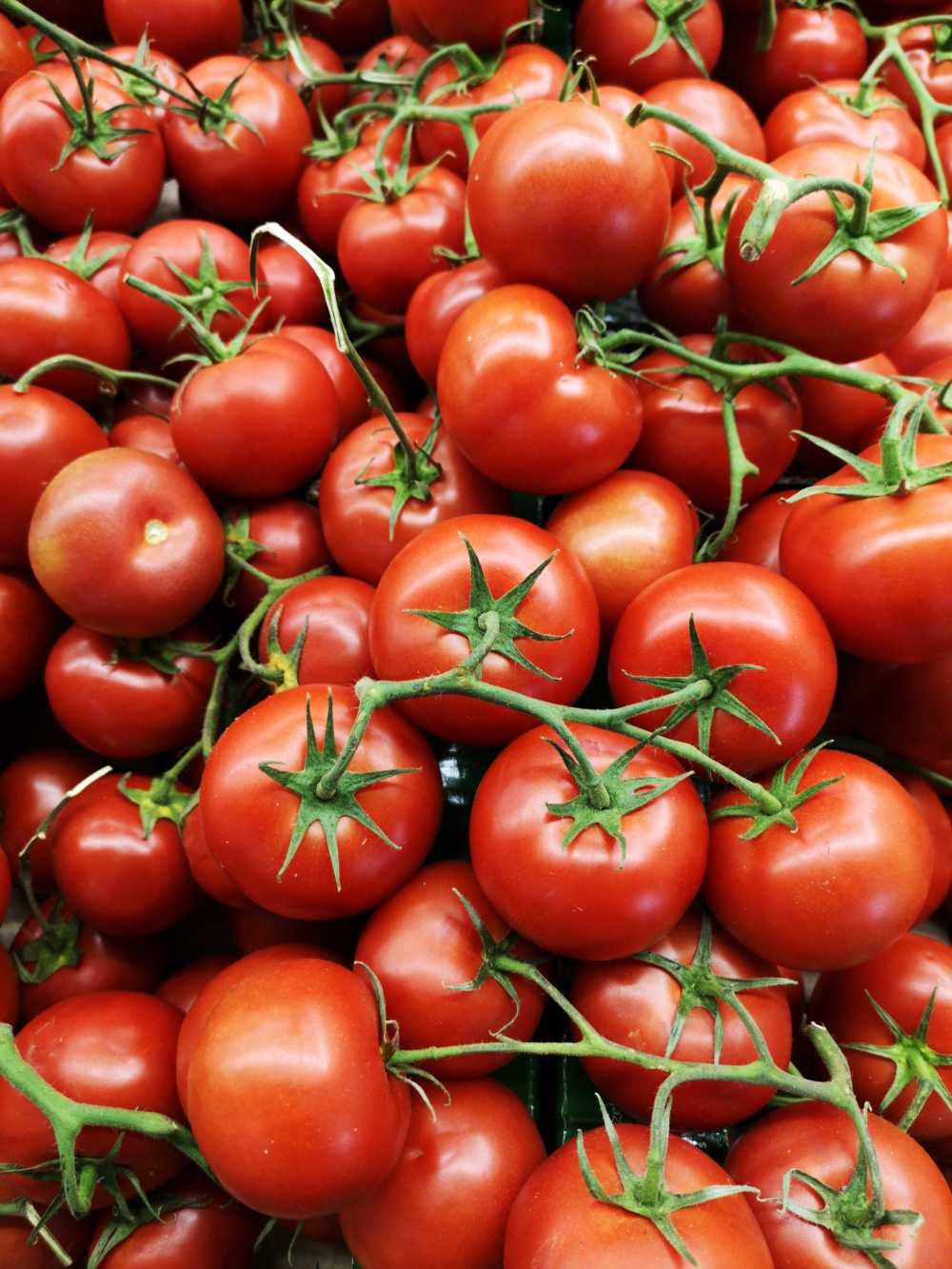 番茄西红柿蔬菜红色
