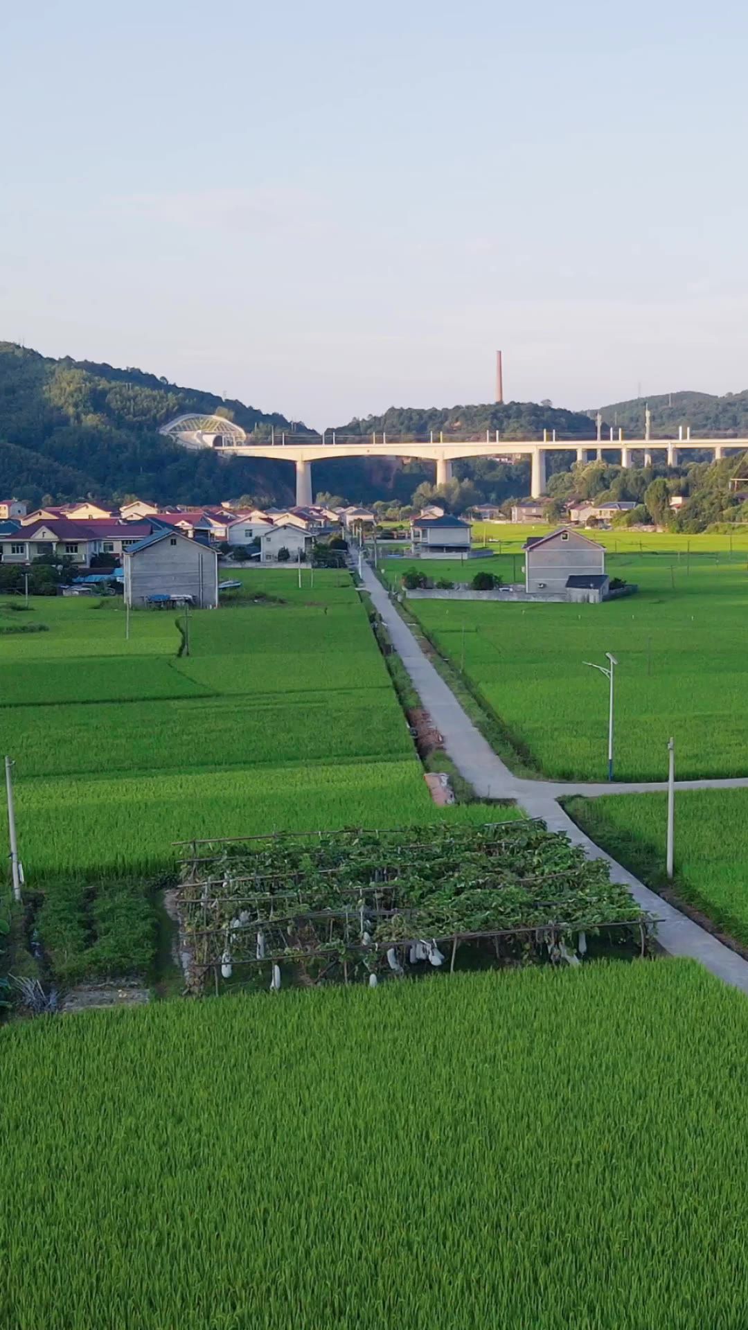 航拍湖南美丽乡村田园竖屏