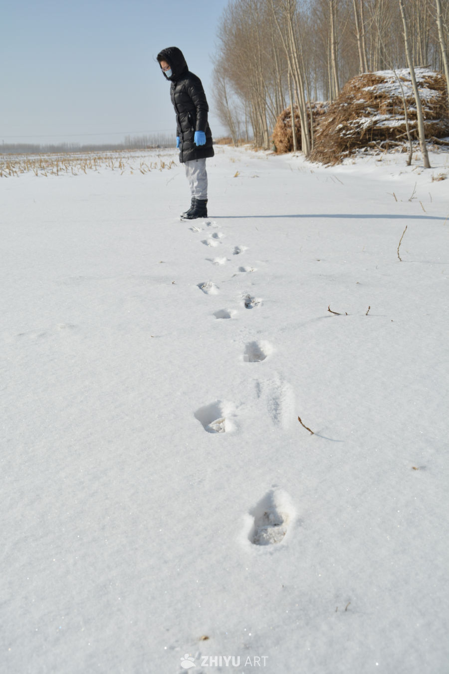 雪地上玩雪的女人