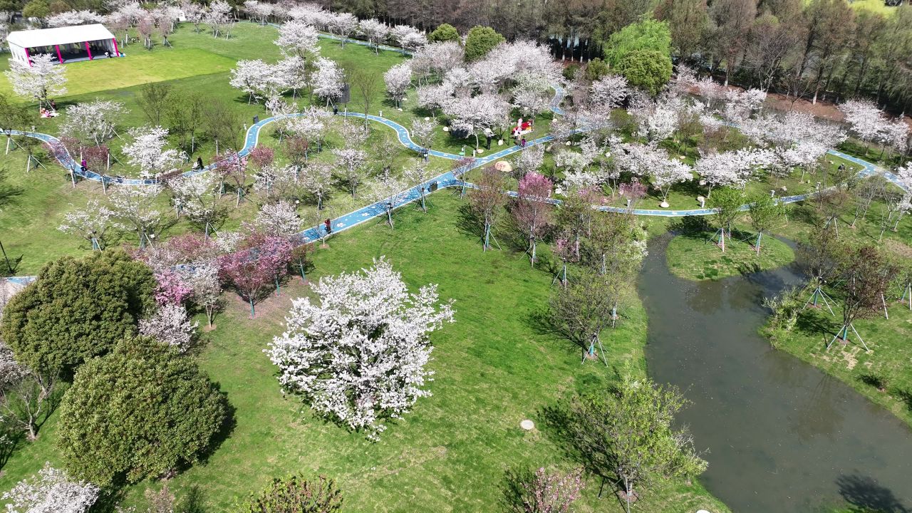 航拍昆山樱花园 7