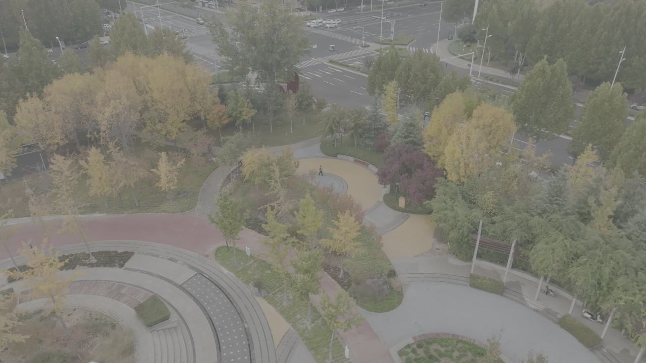 城市街道全景
