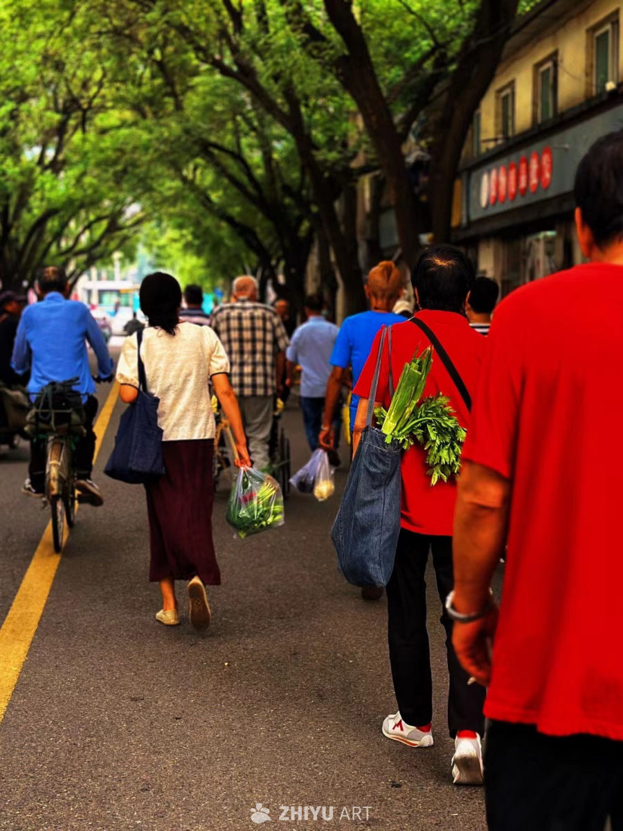 城市绿荫下的日常漫步