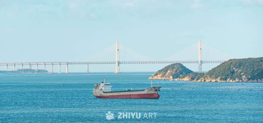 跨海大桥与海船的和谐景象