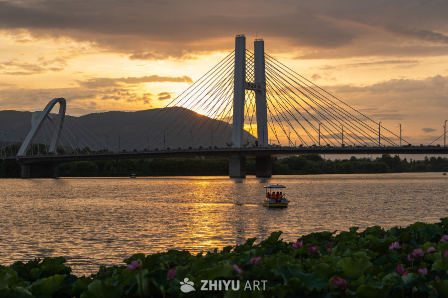 夕阳下的大桥 14
