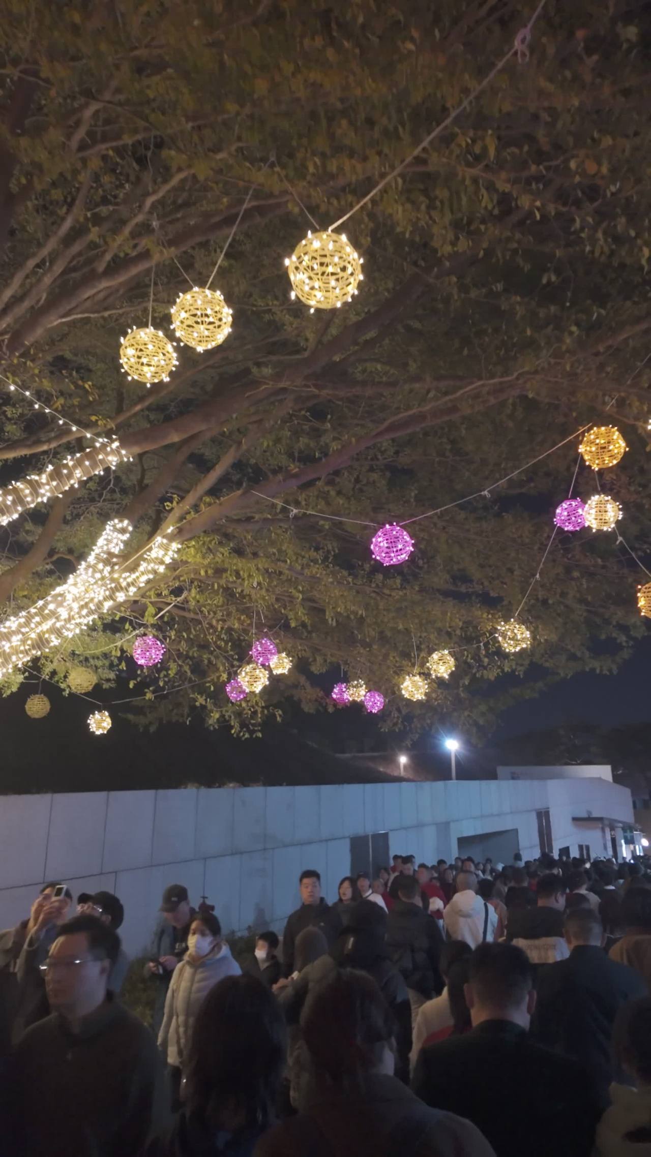 深圳湾超级灯会 33