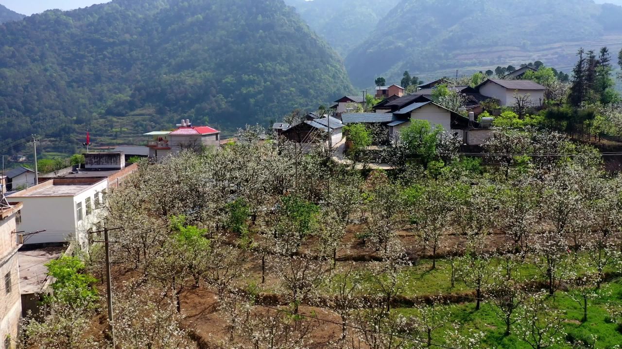 春日山间小村