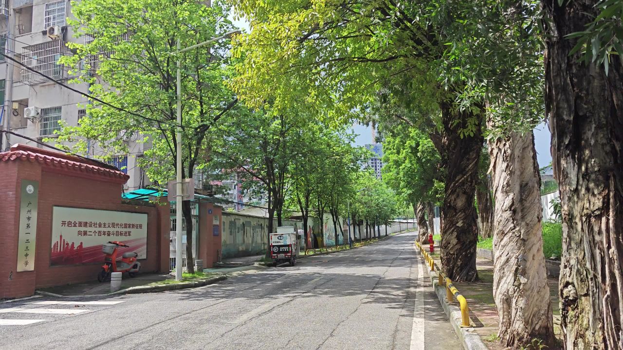 4K夏日蝉鸣林荫路电动车