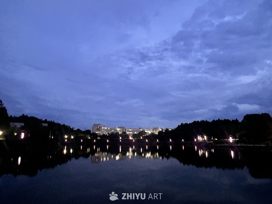 湖畔夜景：城市与自然的静谧交响