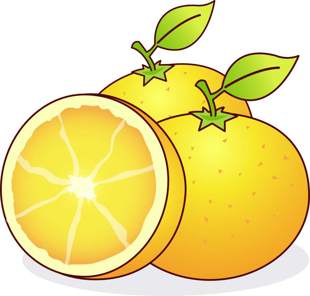 橘子巴伊亚橙脐橙柑橘类水果水果橙维生素多汁切片健康食品