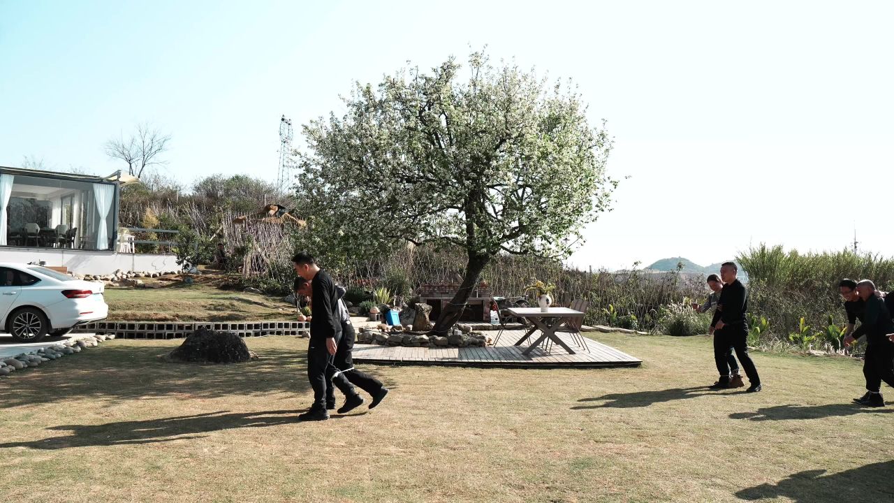 草地上的追逐游戏