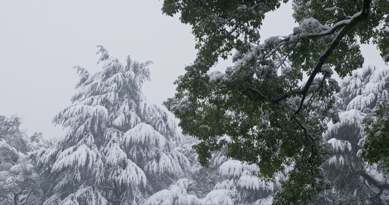 湖南长沙岳麓山爱晚亭城市雪景风光 2