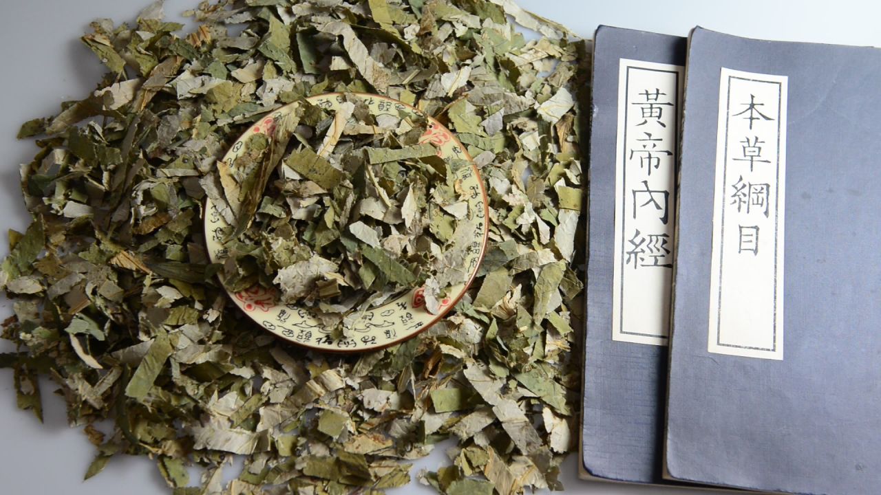 荷叶中药材 12