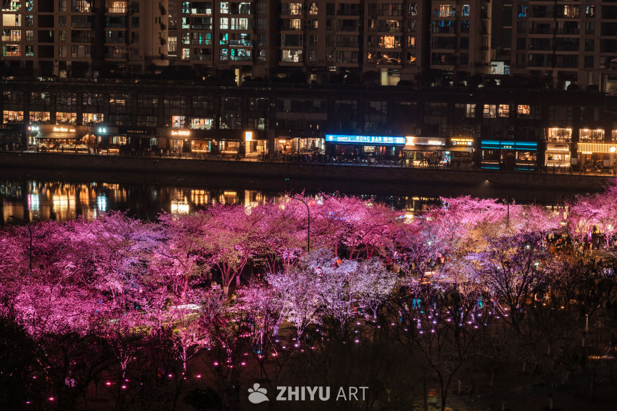 武汉西北湖樱花夜景