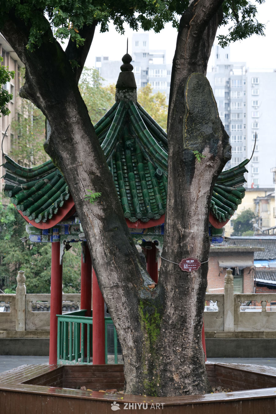 博物馆 2