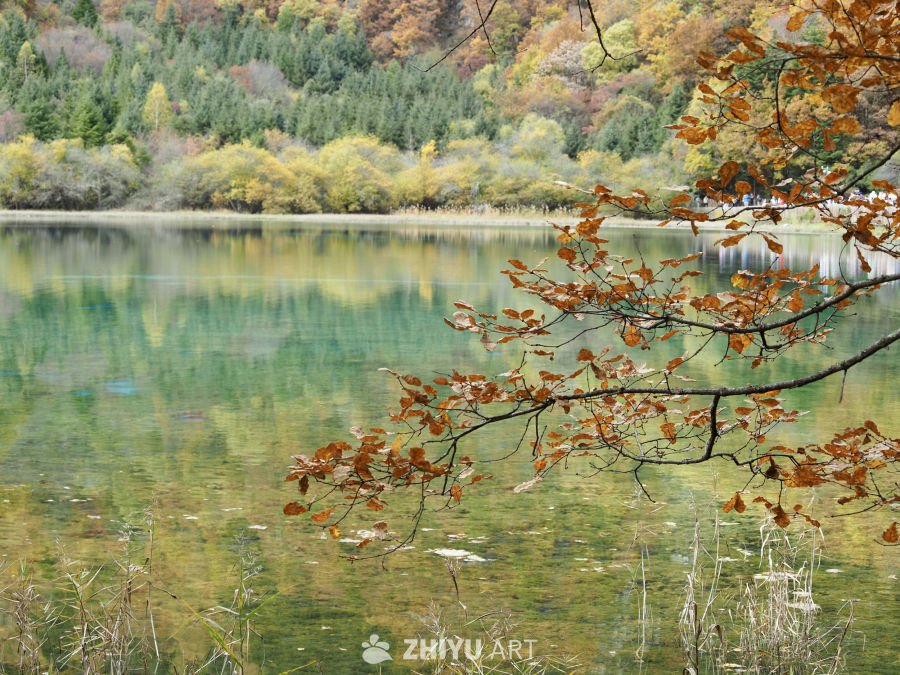 川西酒啊/毕棚沟/四姑娘山 18