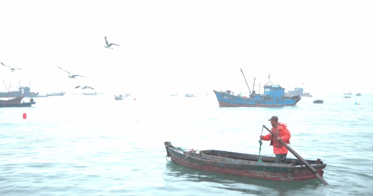 【实拍样片】松下S1M2-6K相机实拍原片视频 25