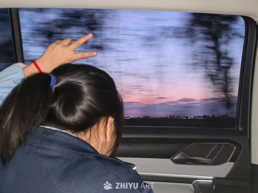 车内黄昏手比风景