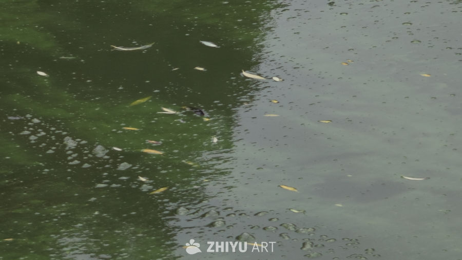 雨后的湖面