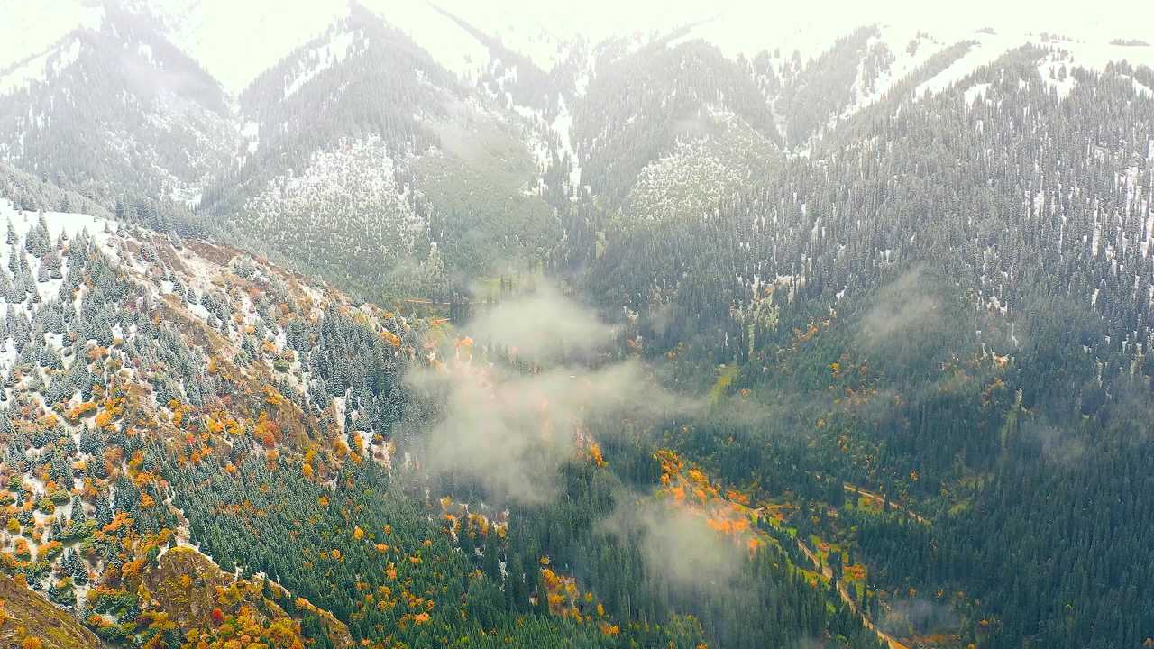 草原森林山脉自然风光