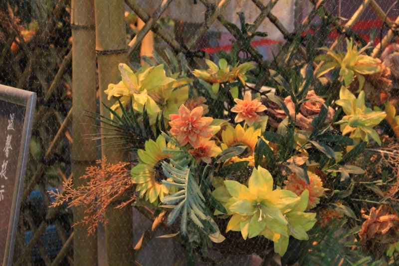 植物园