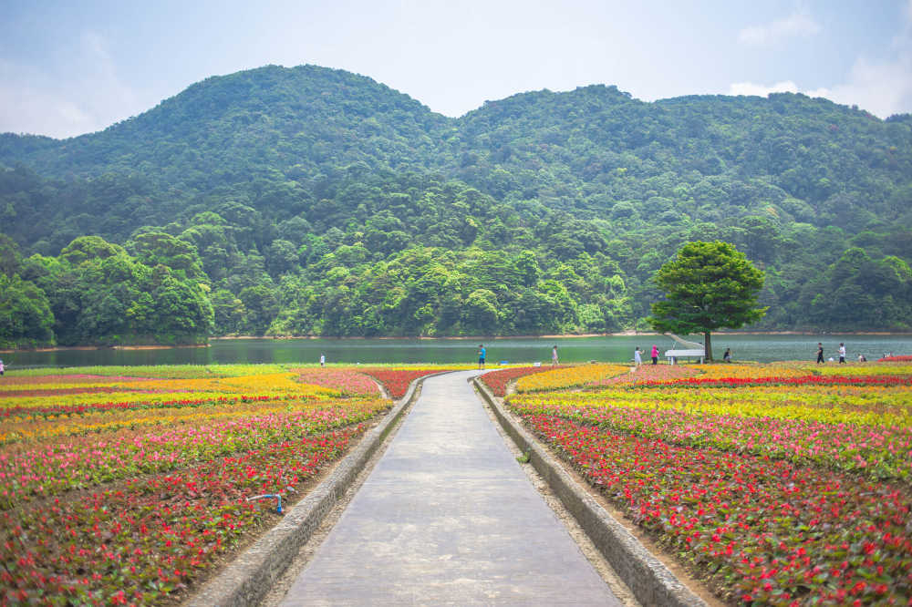 从化石门公园