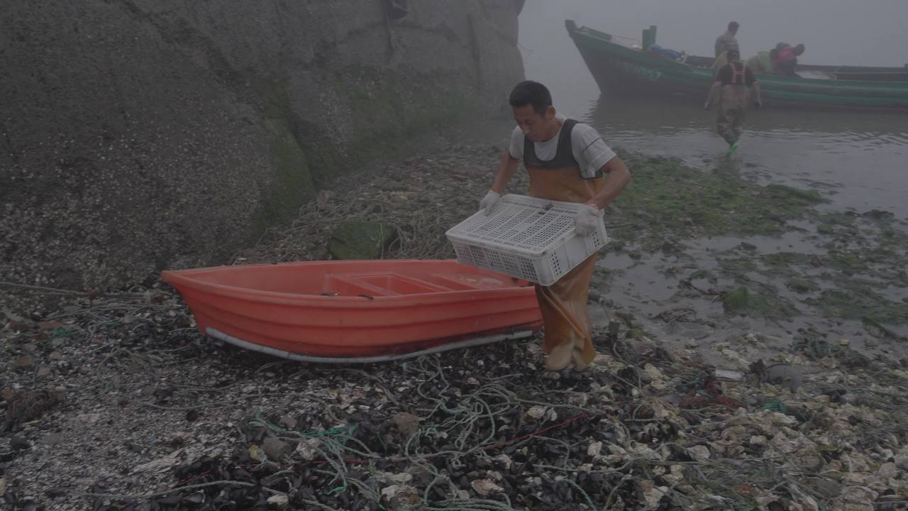 渔民海上捡拣鱼类工作场景