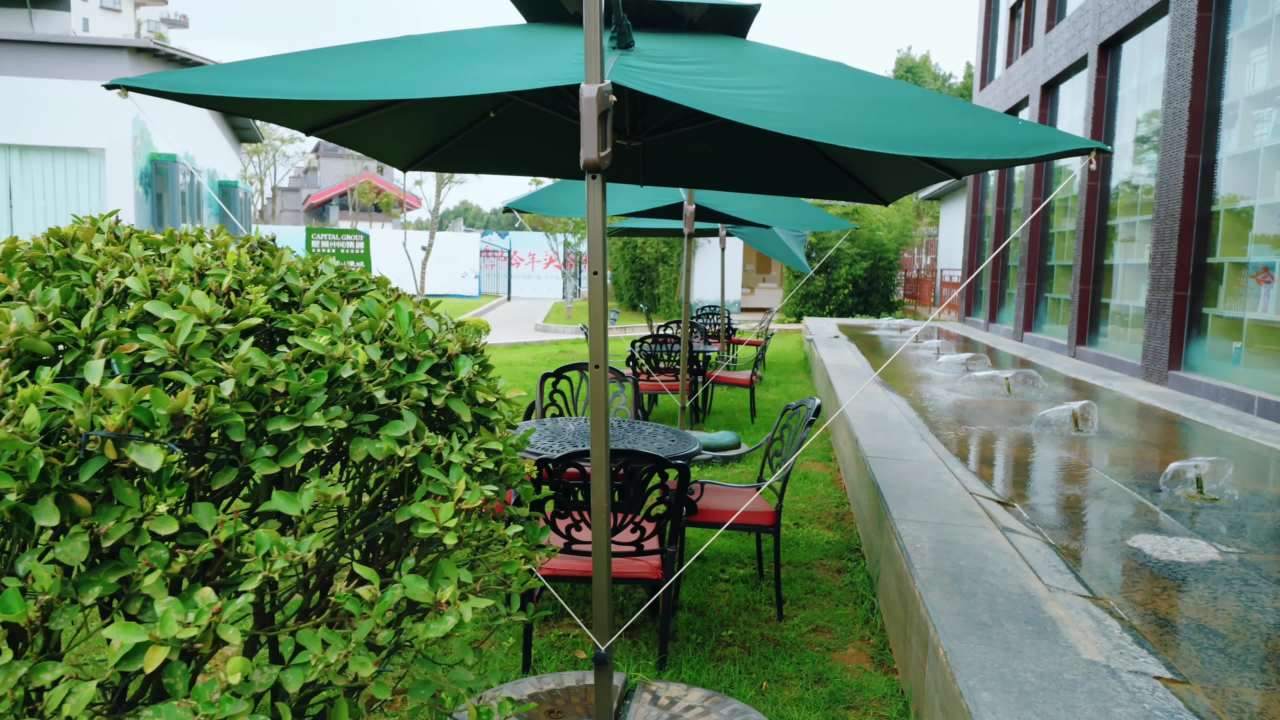 雨后庭院的宁静时光