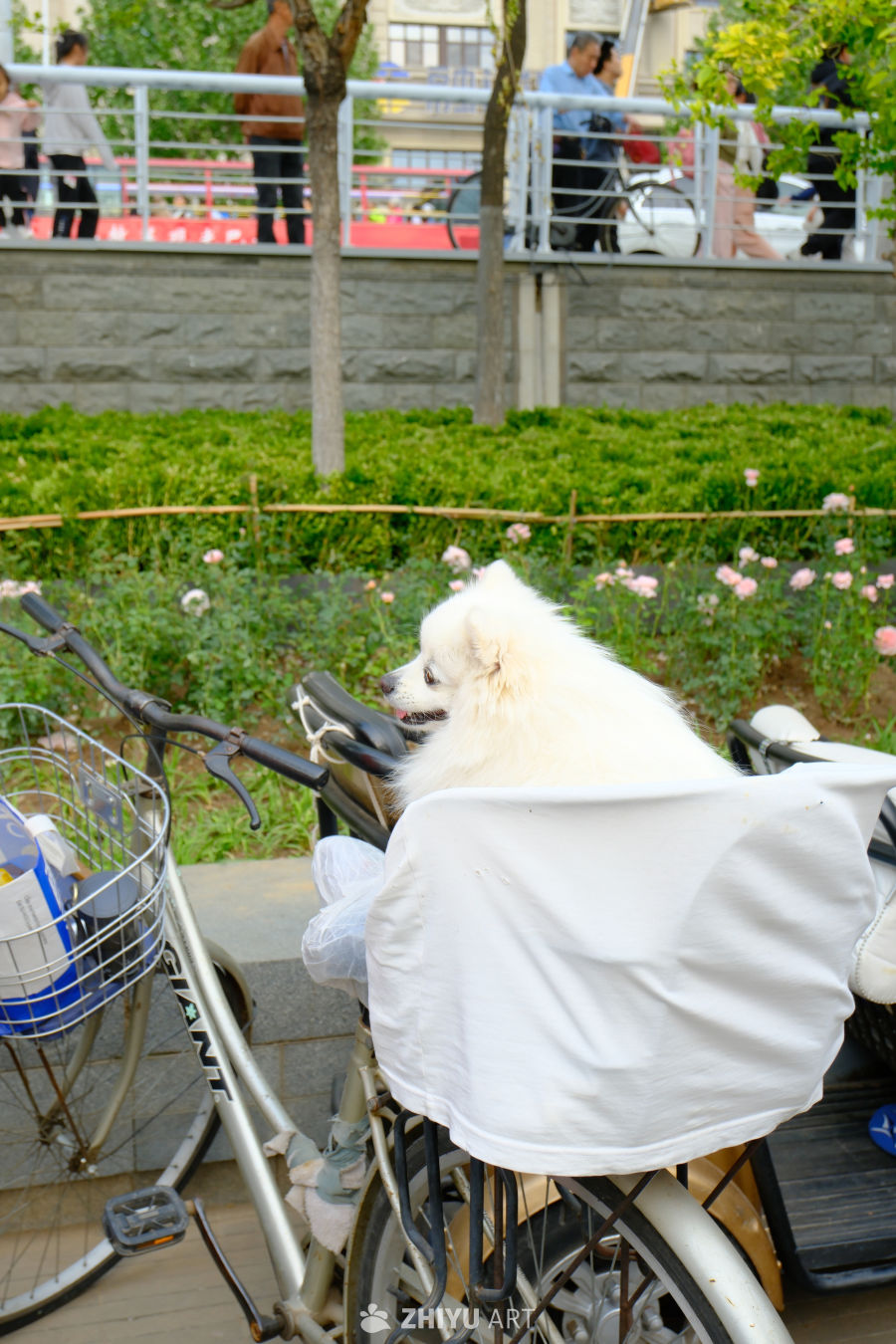 DSCF2070 50