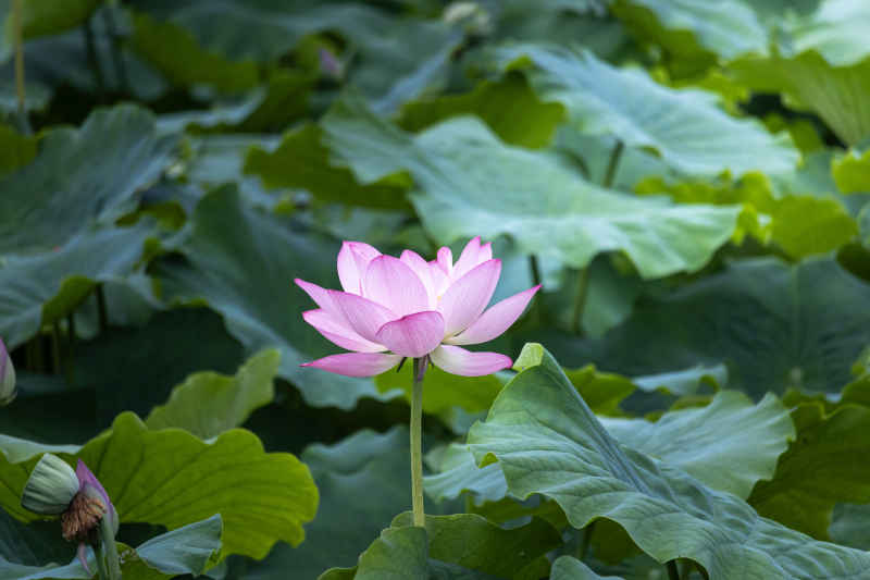 IMG_0398 拷贝