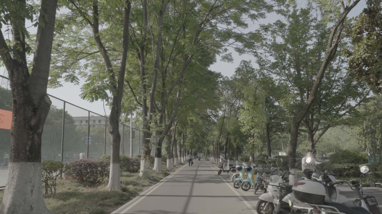 宜昌江边 87