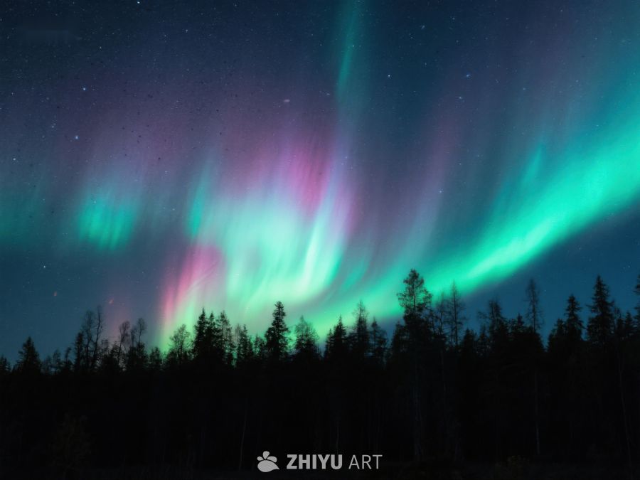 极光下的森林夜景 28