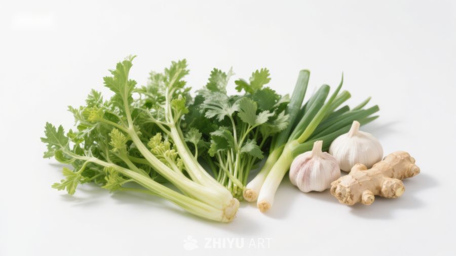新鲜香料蔬菜组合