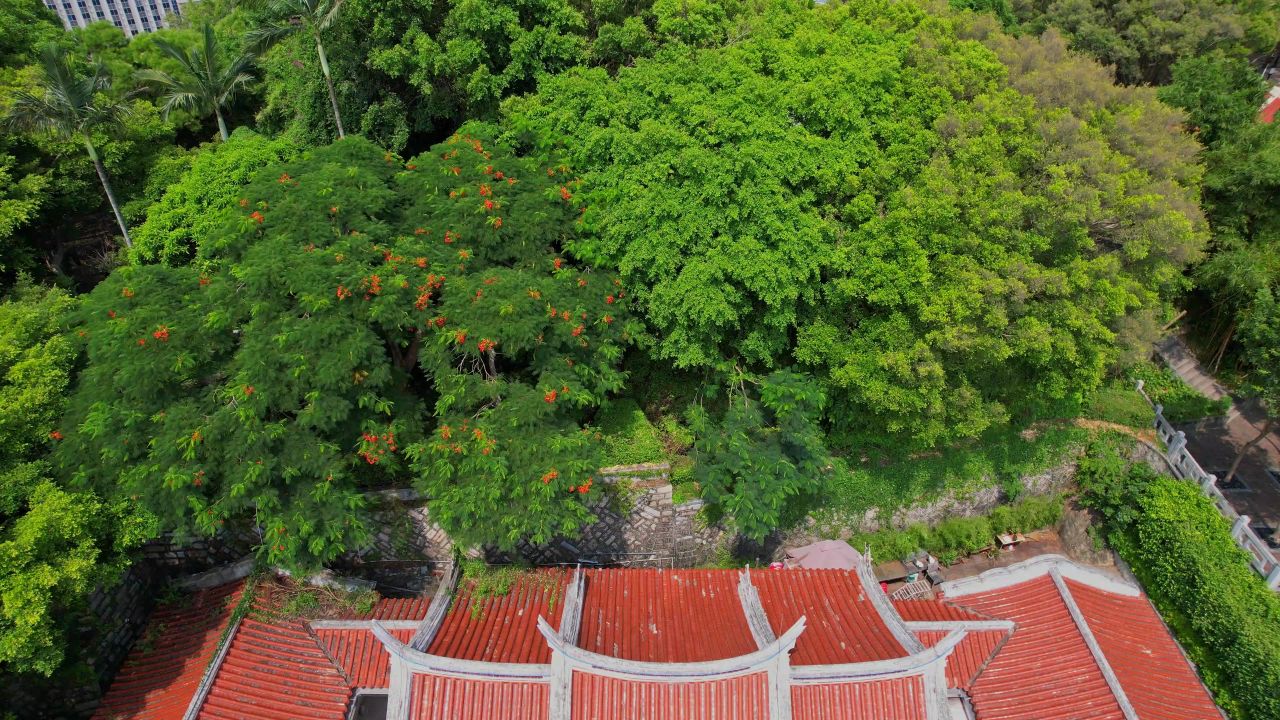 航拍厦门延平郡王祠 2
