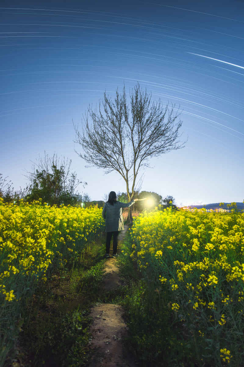 油菜花星轨