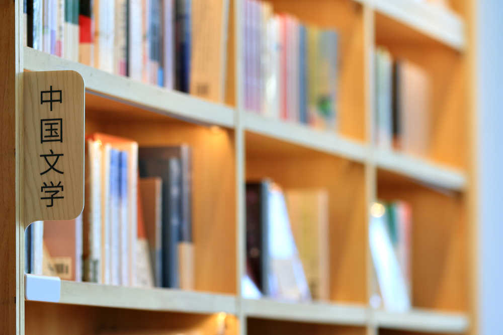中国文学书籍