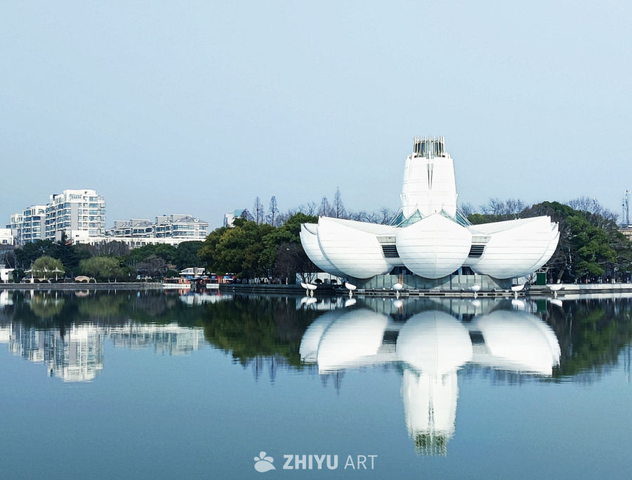 镜湖莲影